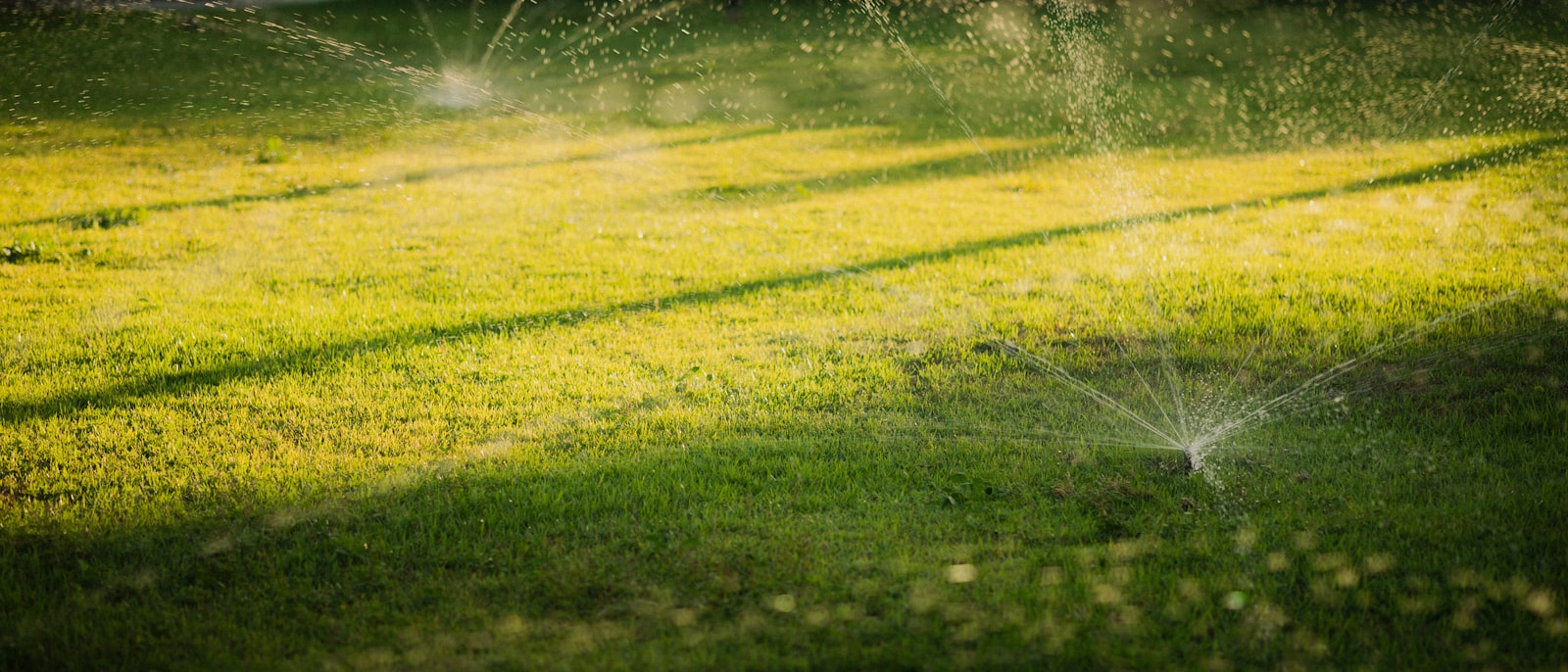 Sprinkler running across a sunlit lawn during spring start-up